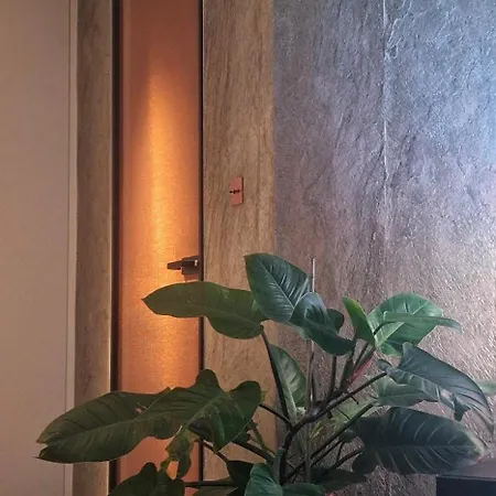 Bien Design Avec Jacuzzi Et Piscine * 빌뇌브루베